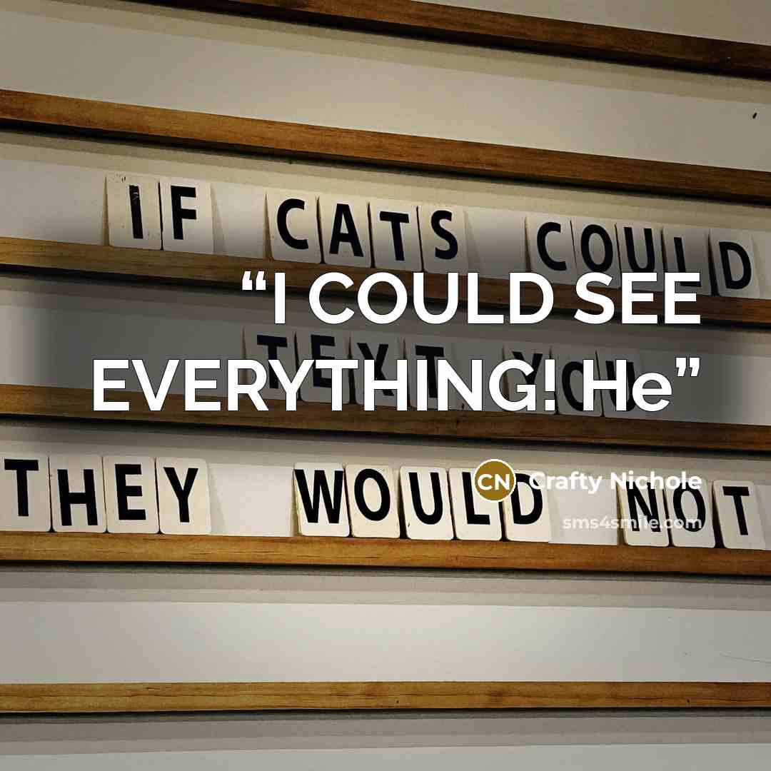 “I COULD SEE EVERYTHING! He” quote by Crafty Nichole