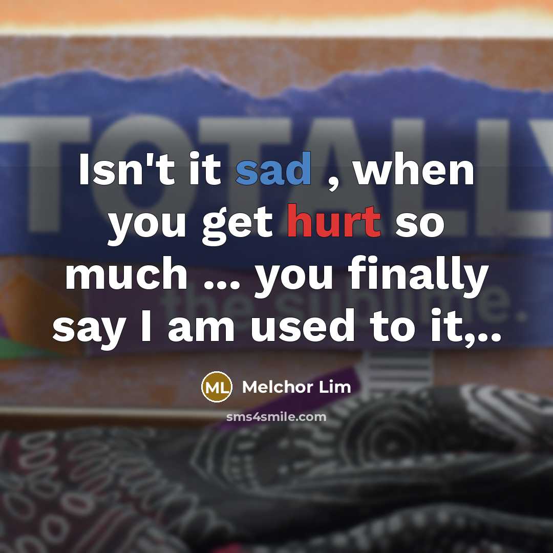 “Isn't it sad , when you get hurt so much ... you finally say I am used to it,..” quote by Melchor Lim