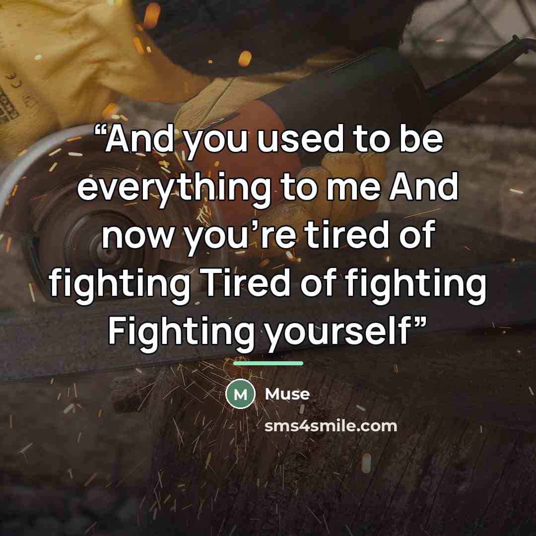 “And you used to be everything to me And now you're tired of fighting Tired of fighting Fighting yourself” quote by Muse
