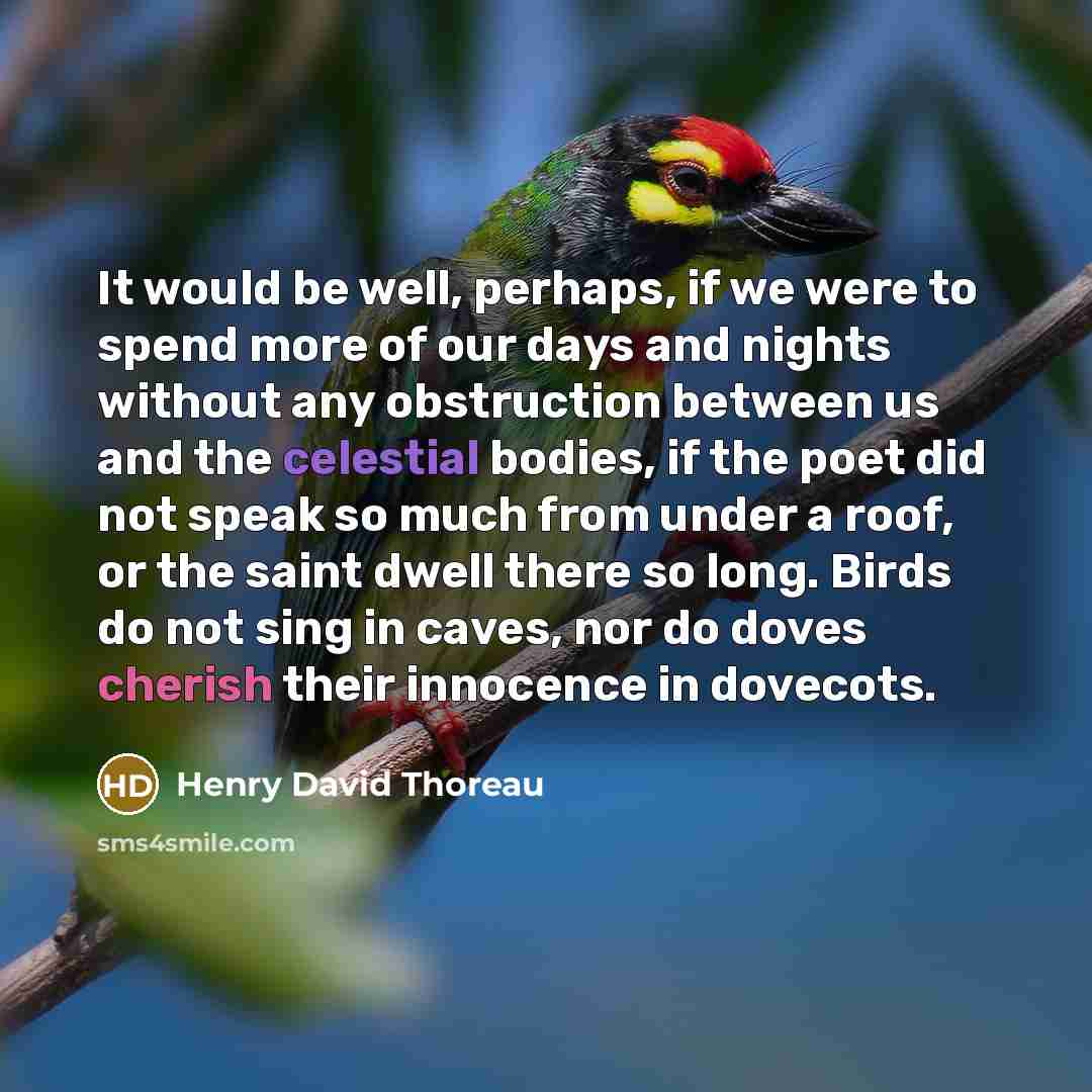 “It would be well, perhaps, if we were to spend more of our days and nights without any obstruction between us and the celestial bodies, if the poet did not speak so much from under a roof, or the saint dwell there so long. Birds do not sing in caves, nor do doves cherish their innocence in dovecots.” quote by Henry David Thoreau