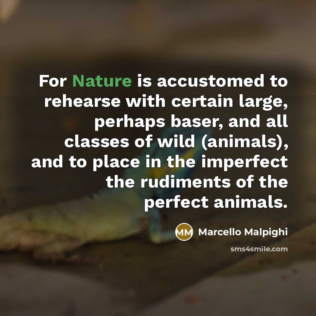 “For Nature is accustomed to rehearse with certain large, perhaps baser, and all classes of wild (animals), and to place in the imperfect the rudiments of the perfect animals.” quote by Marcello Malpighi