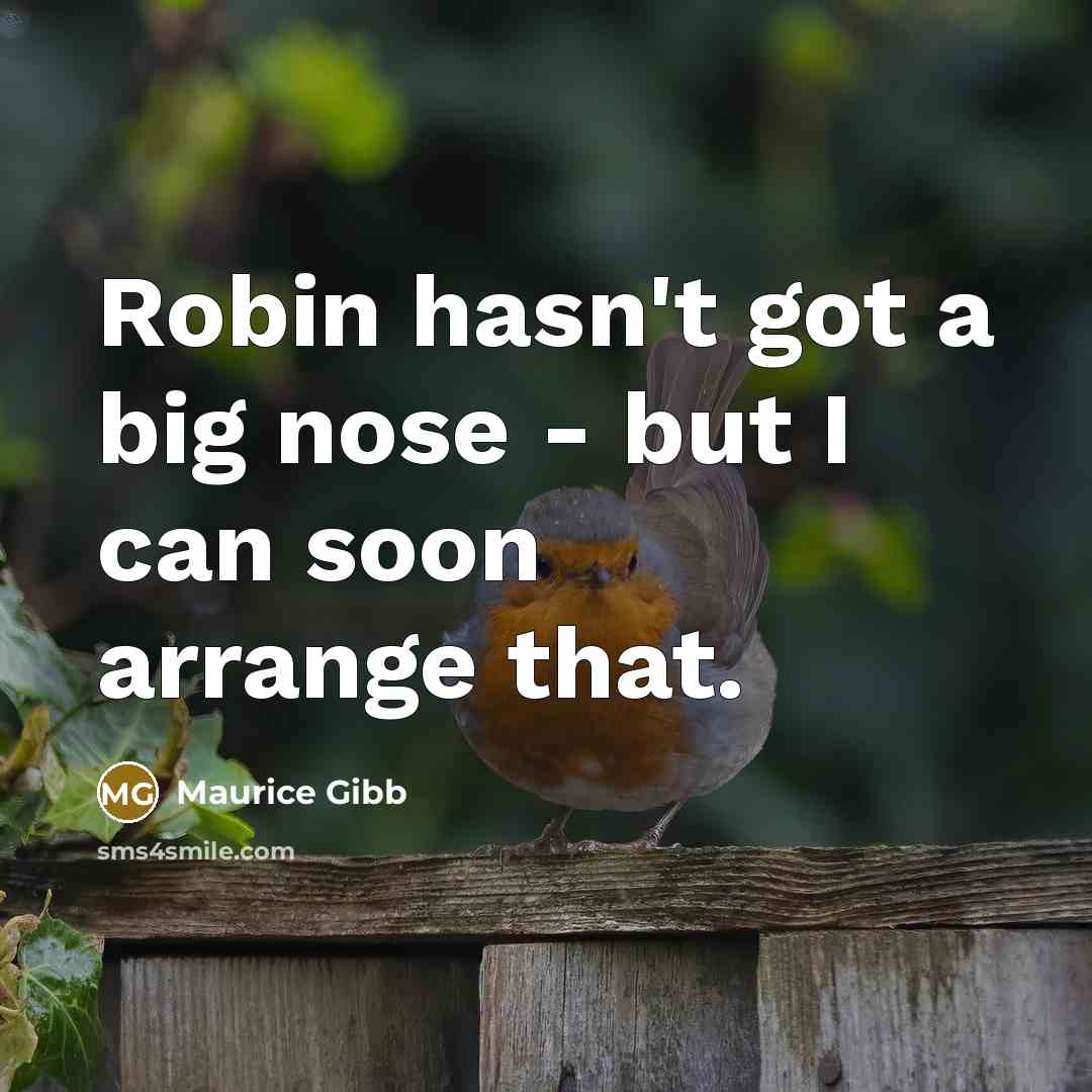 “Robin hasn't got a big nose - but I can soon arrange that.” quote by Maurice Gibb