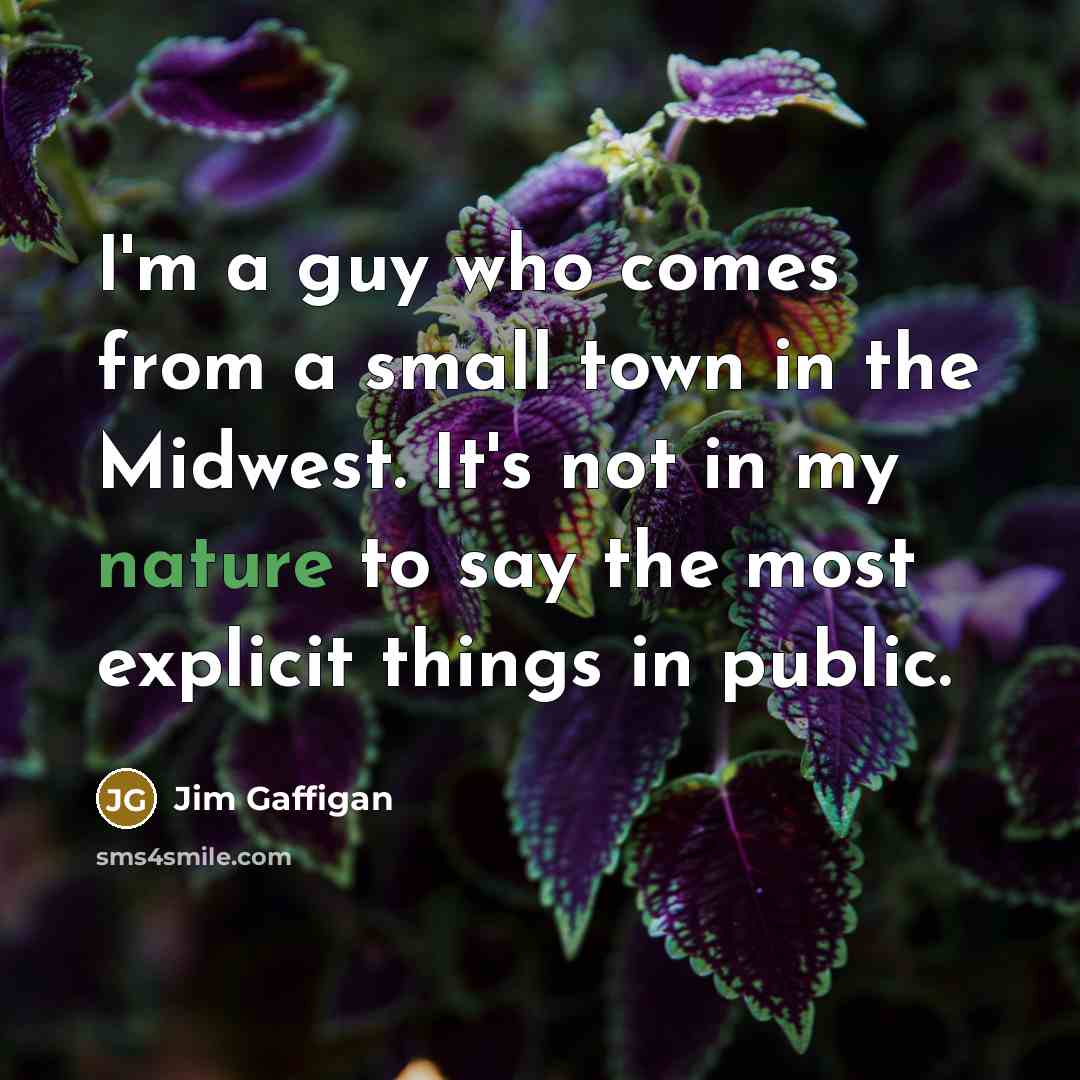 “I'm a guy who comes from a small town in the Midwest. It's not in my nature to say the most explicit things in public.” quote by Jim Gaffigan