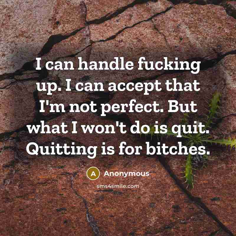 “I can handle fucking up. I can accept that I'm not perfect. But what I won't do is quit. Quitting is for bitches.” quote by Anonymous