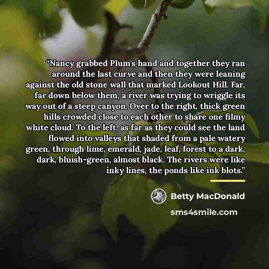 “Nancy grabbed Plum's hand and together they ran around the last curve and then they were leaning against the old stone wall that marked Lookout Hill. Far, far down below them, a river was trying to wriggle its way out of a steep canyon. Over to the right, thick green hills crowded close to each…” quote by Betty MacDonald