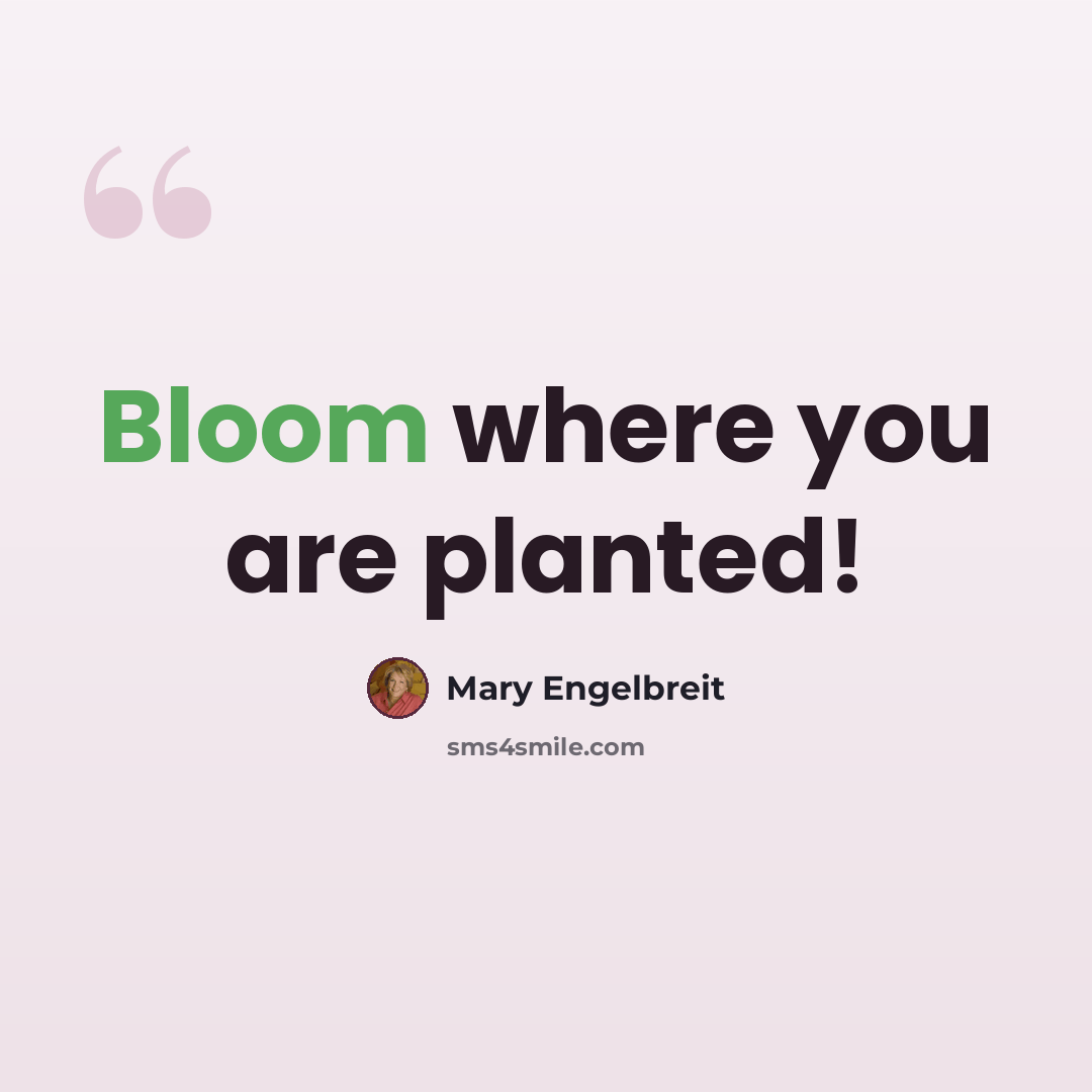 “Bloom where you are planted!” quote by Mary Engelbreit