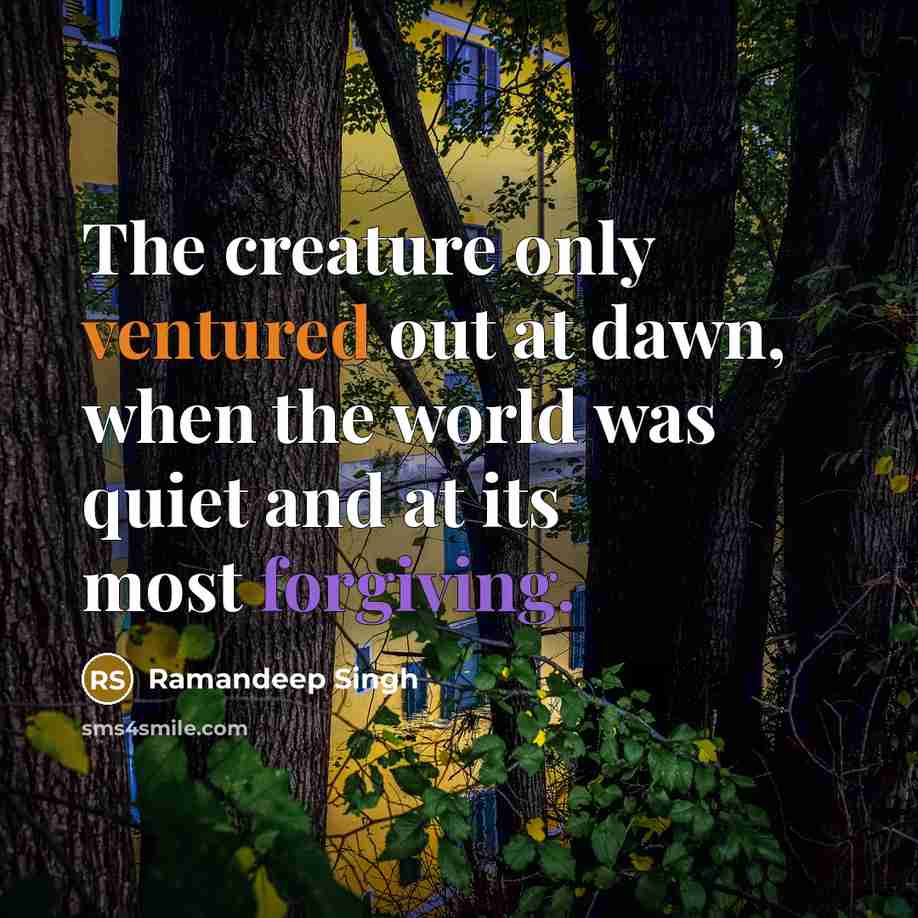 “The creature only ventured out at dawn, when the world was quiet and at its most forgiving.” quote by Ramandeep Singh