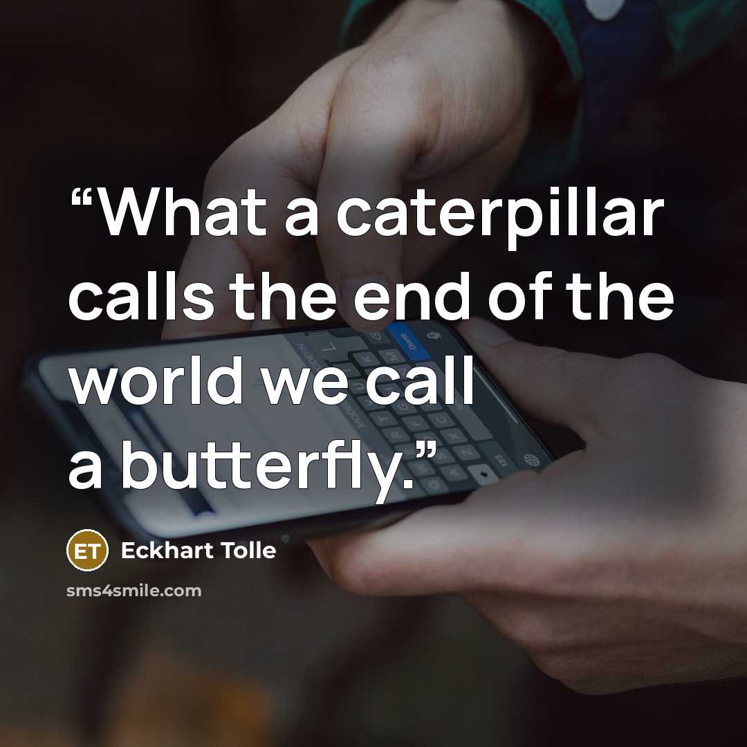 “What a caterpillar calls the end of the world we call a butterfly.” quote by Eckhart Tolle