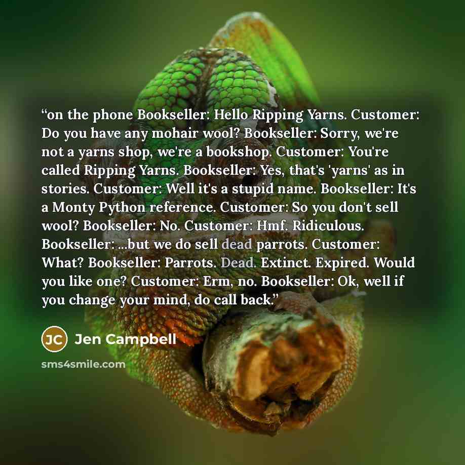“on the phone Bookseller: Hello Ripping Yarns. Customer: Do you have any mohair wool? Bookseller: Sorry, we're not a yarns shop, we're a bookshop. Customer: You're called Ripping Yarns. Bookseller: Yes, that's 'yarns' as in stories. Customer: Well it's a stupid name. Bookseller: It's a Monty Python…” quote by Jen Campbell