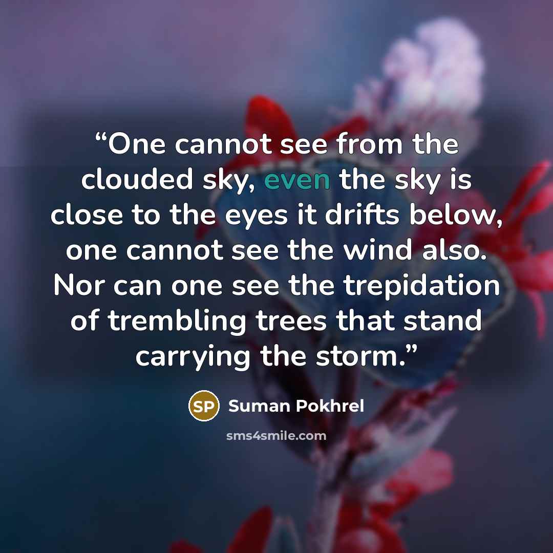 “One cannot see from the clouded sky, even the sky is close to the eyes it drifts below, one cannot see the wind also. Nor can one see the trepidation of trembling trees that stand carrying the storm.” quote by Suman Pokhrel