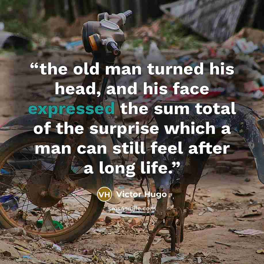 “the old man turned his head, and his face expressed the sum total of the surprise which a man can still feel after a long life.” quote by Victor Hugo