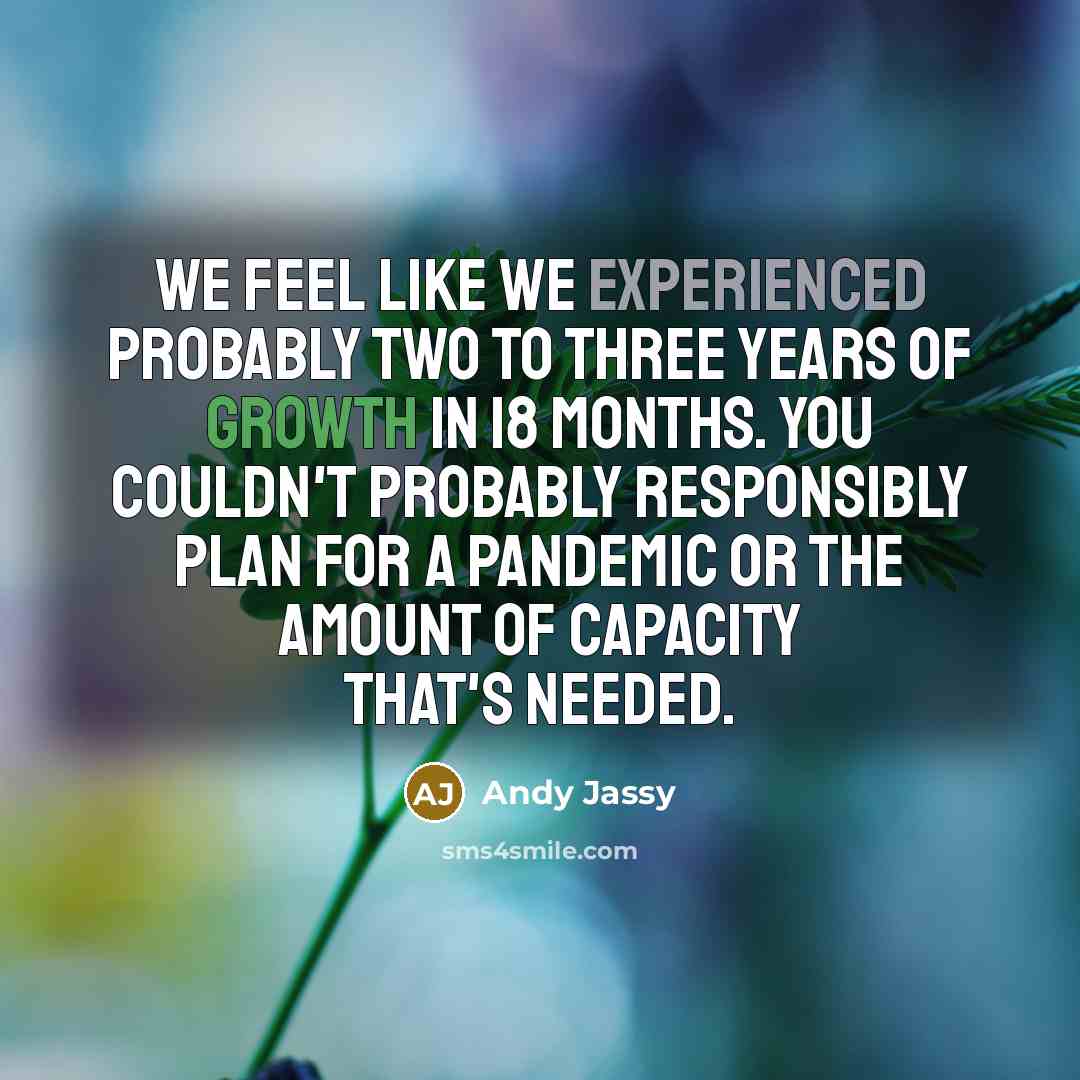 “We feel like we experienced probably two to three years of growth in 18 months. You couldn't probably responsibly plan for a pandemic or the amount of capacity that's needed.” quote by Andy Jassy