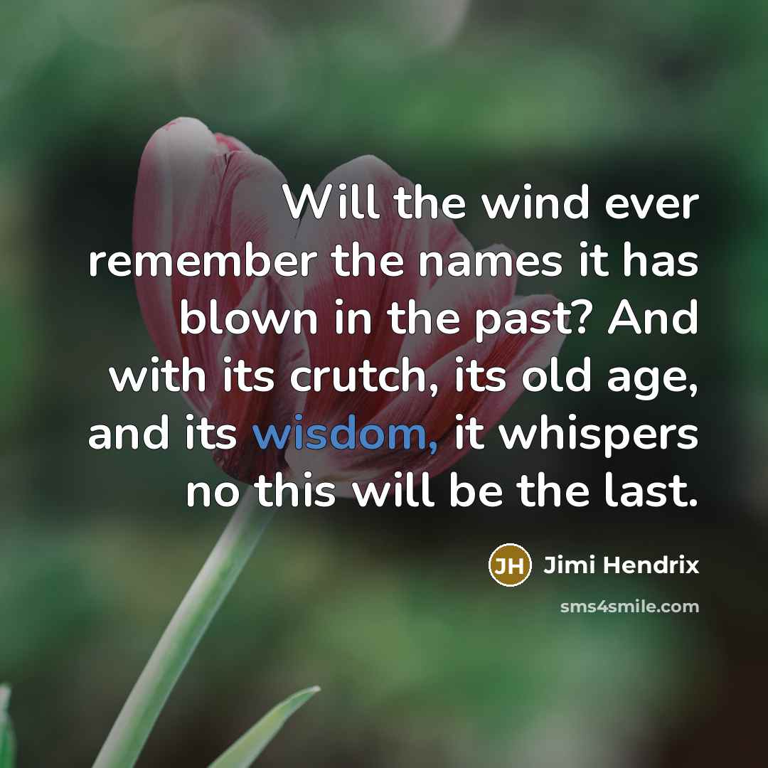 “Will the wind ever remember the names it has blown in the past? And with its crutch, its old age, and its wisdom, it whispers no this will be the last.” quote by Jimi Hendrix