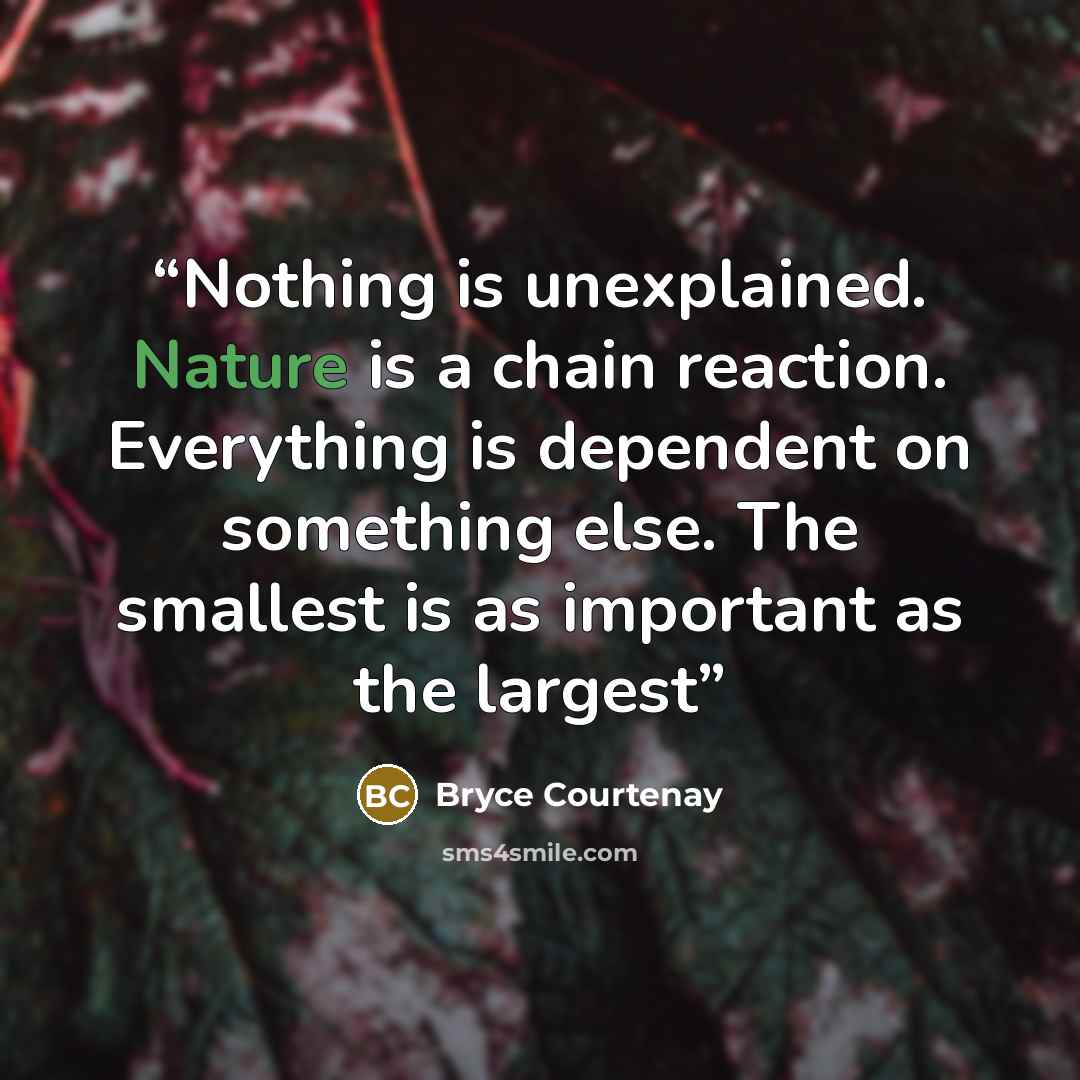 “Nothing is unexplained. Nature is a chain reaction. Everything is dependent on something else. The smallest is as important as the largest” quote by Bryce Courtenay