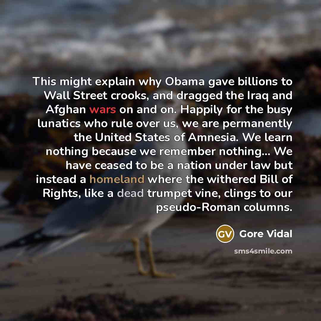 “This might explain why Obama gave billions to Wall Street crooks, and dragged the Iraq and Afghan wars on and on. Happily for the busy lunatics who rule over us, we are permanently the United States of Amnesia. We learn nothing because we remember nothing... We have ceased to be a nation under law…” quote by Gore Vidal