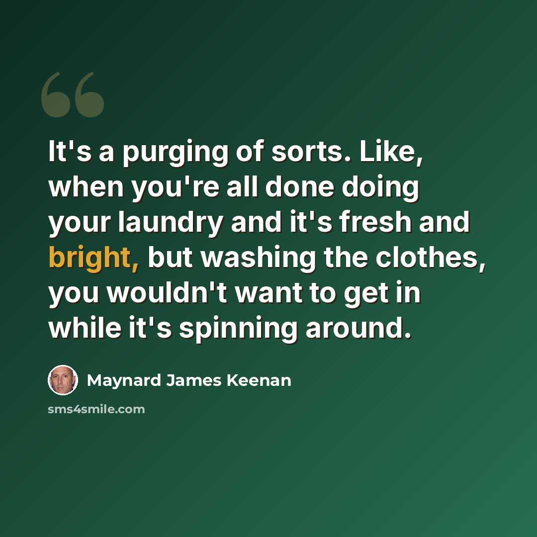“It's a purging of sorts. Like, when you're all done doing your laundry and it's fresh and bright, but washing the clothes, you wouldn't want to get in while it's spinning around.” quote by Maynard James Keenan