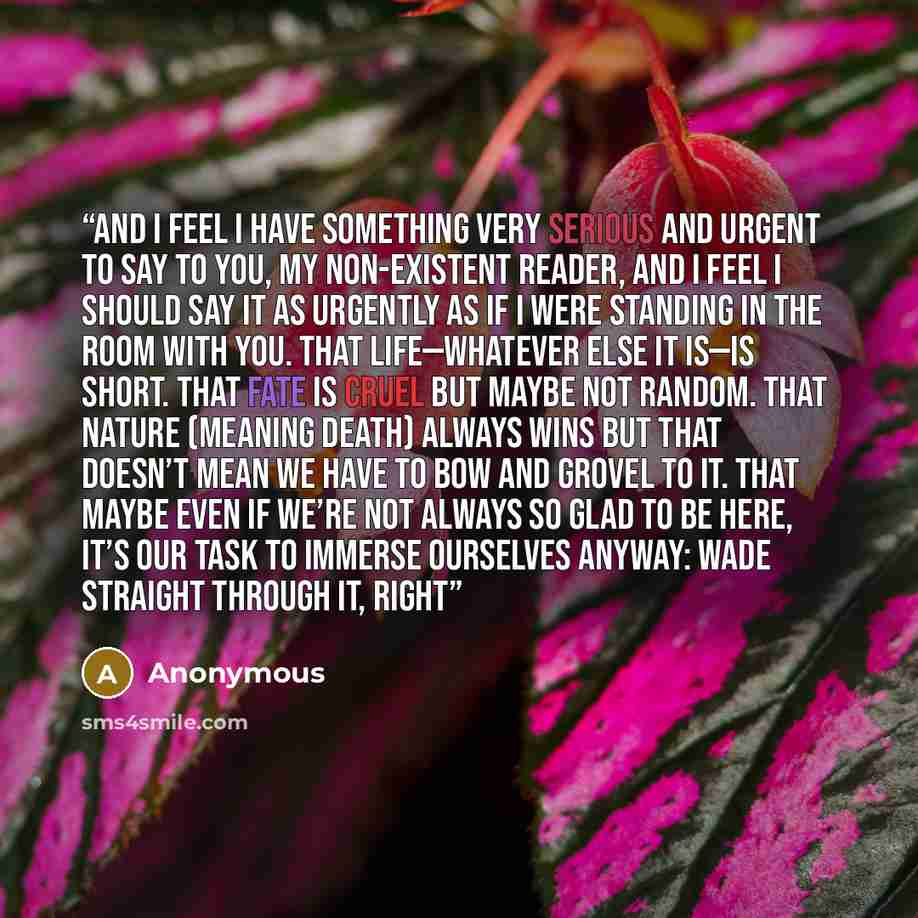 “And I feel I have something very serious and urgent to say to you, my non-existent reader, and I feel I should say it as urgently as if I were standing in the room with you. That life—whatever else it is—is short. That fate is cruel but maybe not random. That Nature (meaning Death) always wins but…” quote by Anonymous