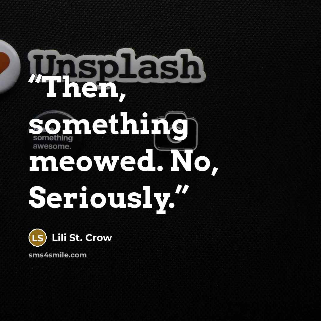 “Then, something meowed. No, Seriously.” quote by Lili St. Crow