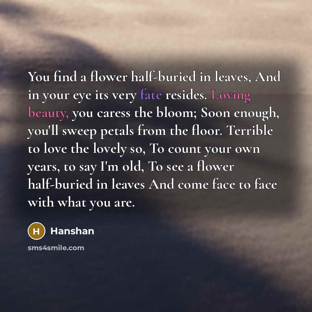 “You find a flower half-buried in leaves, And in your eye its very fate resides. Loving beauty, you caress the bloom; Soon enough, you'll sweep petals from the floor. Terrible to love the lovely so, To count your own years, to say I'm old, To see a flower half-buried in leaves And come face to face…” quote by Hanshan