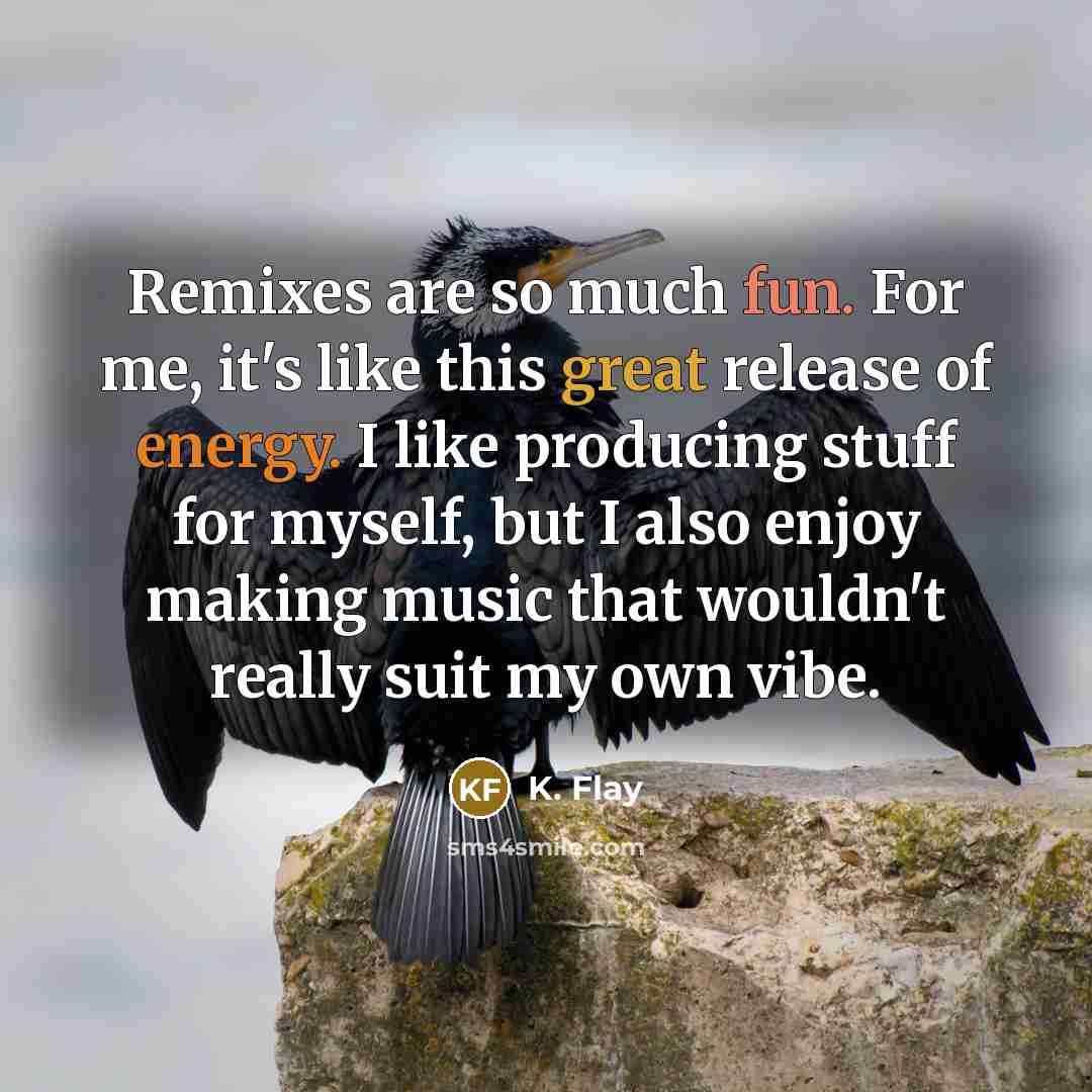 “Remixes are so much fun. For me, it's like this great release of energy. I like producing stuff for myself, but I also enjoy making music that wouldn't really suit my own vibe.” quote by K. Flay