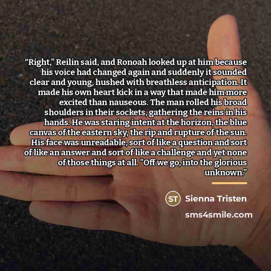 “Right," Reilin said, and Ronoah looked up at him because his voice had changed again and suddenly it sounded clear and young, hushed with breathless anticipation. It made his own heart kick in a way that made him more excited than nauseous. The man rolled his broad shoulders in their sockets…” quote by Sienna Tristen