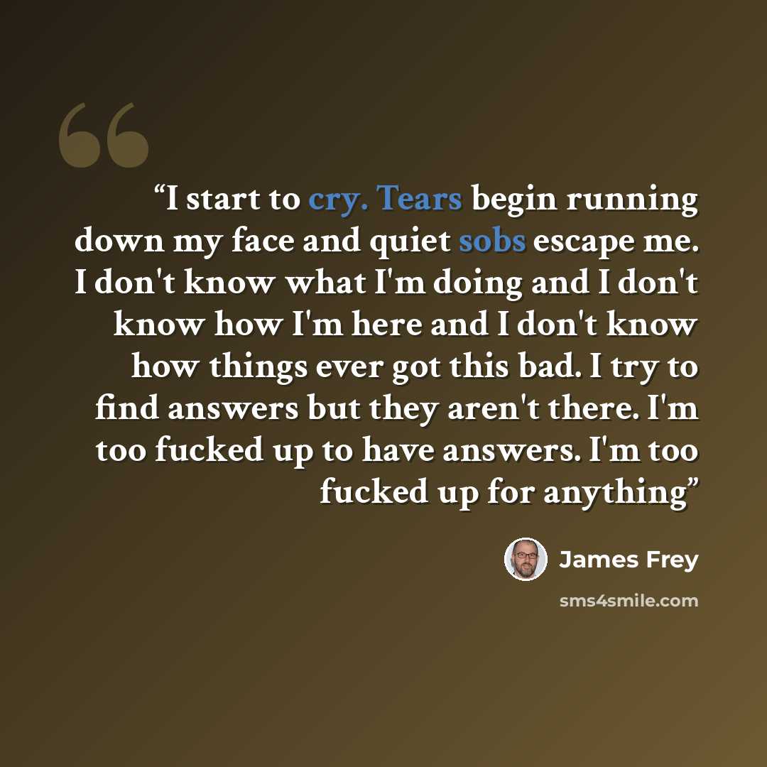 “I start to cry. Tears begin running down my face and quiet sobs escape me. I don't know what I'm doing and I don't know how I'm here and I don't know how things ever got this bad. I try to find answers but they aren't there. I'm too fucked up to have answers. I'm too fucked up for anything” quote by James Frey