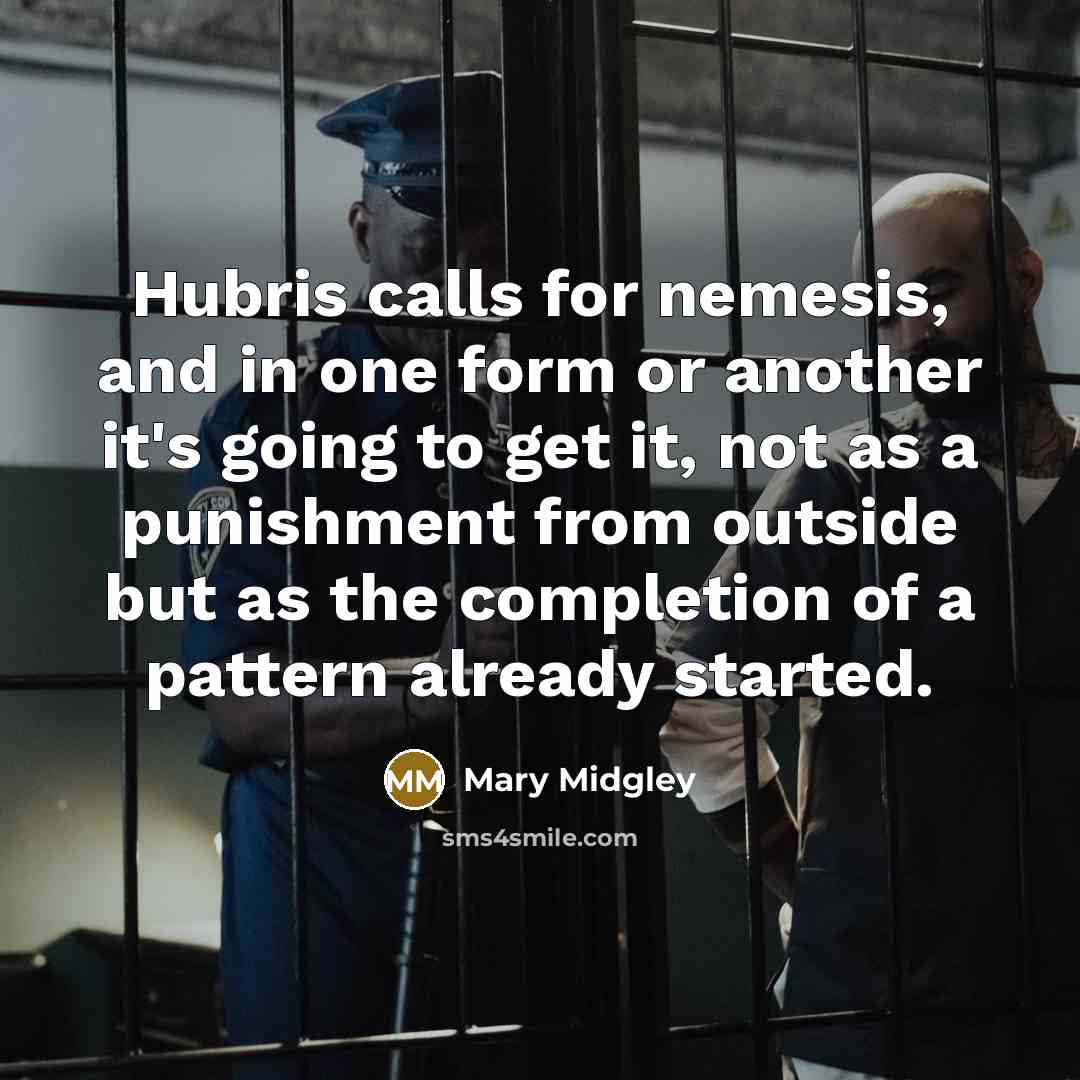 “Hubris calls for nemesis, and in one form or another it's going to get it, not as a punishment from outside but as the completion of a pattern already started.” quote by Mary Midgley