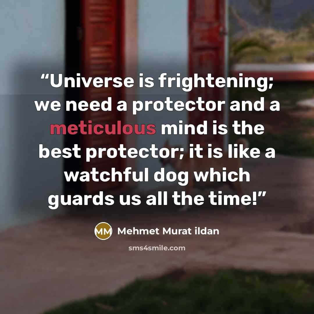 “Universe is frightening; we need a protector and a meticulous mind is the best protector; it is like a watchful dog which guards us all the time!” quote by Mehmet Murat ildan