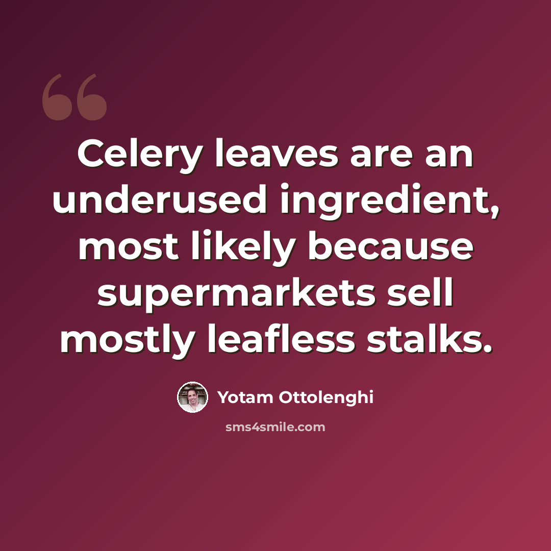 “Celery leaves are an underused ingredient, most likely because supermarkets sell mostly leafless stalks.” quote by Yotam Ottolenghi