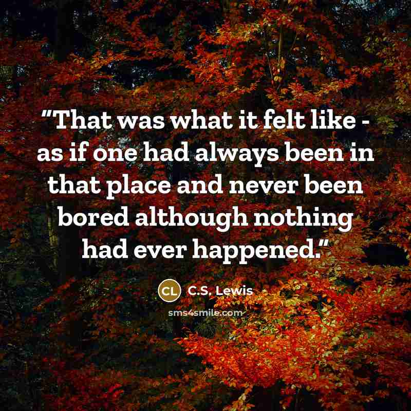 “That was what it felt like - as if one had always been in that place and never been bored although nothing had ever happened.” quote by C.S. Lewis