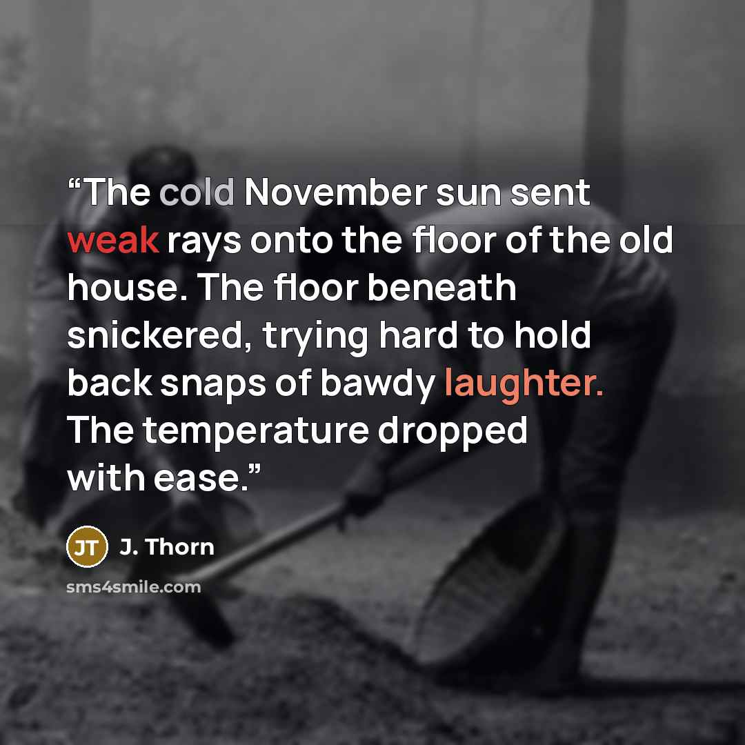 “The cold November sun sent weak rays onto the floor of the old house. The floor beneath snickered, trying hard to hold back snaps of bawdy laughter. The temperature dropped with ease.” quote by J. Thorn