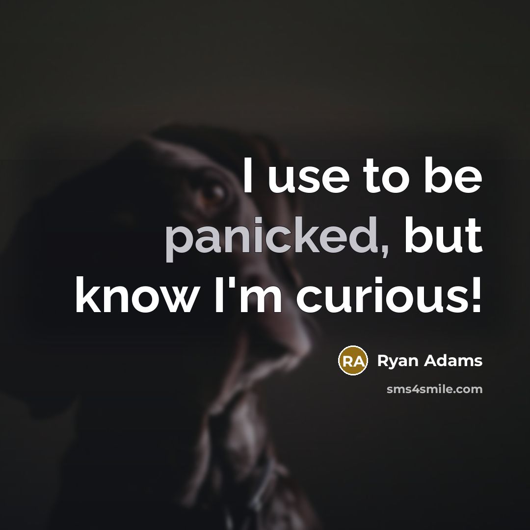 “I use to be panicked, but know I'm curious!” quote by Ryan Adams
