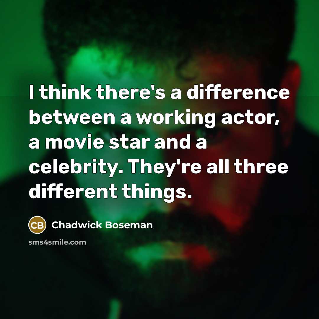 “I think there's a difference between a working actor, a movie star and a celebrity. They're all three different things.” quote by Chadwick Boseman