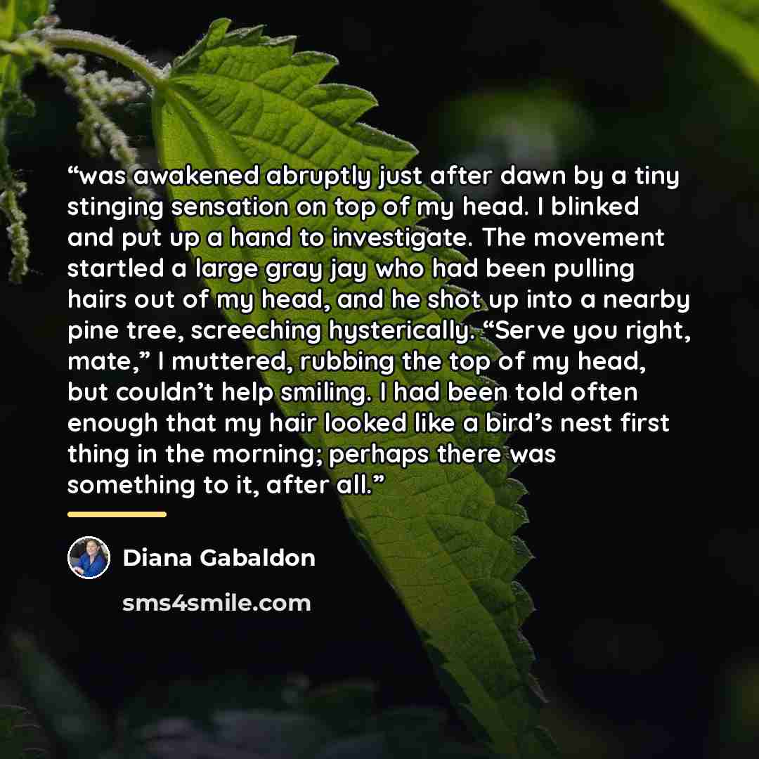“was awakened abruptly just after dawn by a tiny stinging sensation on top of my head. I blinked and put up a hand to investigate. The movement startled a large gray jay who had been pulling hairs out of my head, and he shot up into a nearby pine tree, screeching hysterically. “Serve you right…” quote by Diana Gabaldon