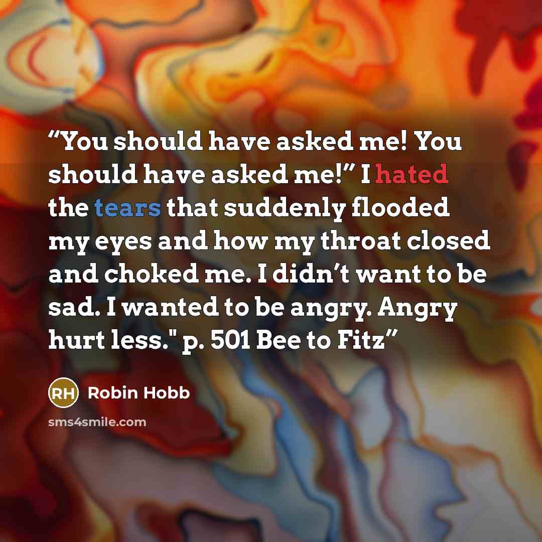 “You should have asked me! You should have asked me!” I hated the tears that suddenly flooded my eyes and how my throat closed and choked me. I didn’t want to be sad. I wanted to be angry. Angry hurt less." p. 501 Bee to Fitz” quote by Robin Hobb
