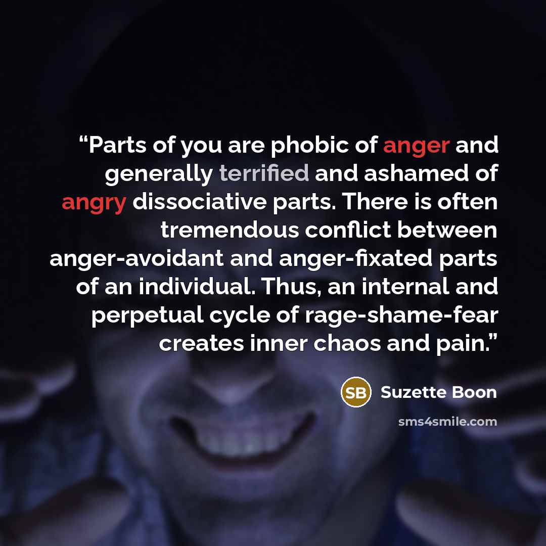 “Parts of you are phobic of anger and generally terrified and ashamed of angry dissociative parts. There is often tremendous conflict between anger-avoidant and anger-fixated parts of an individual. Thus, an internal and perpetual cycle of rage-shame-fear creates inner chaos and pain.” quote by Suzette Boon