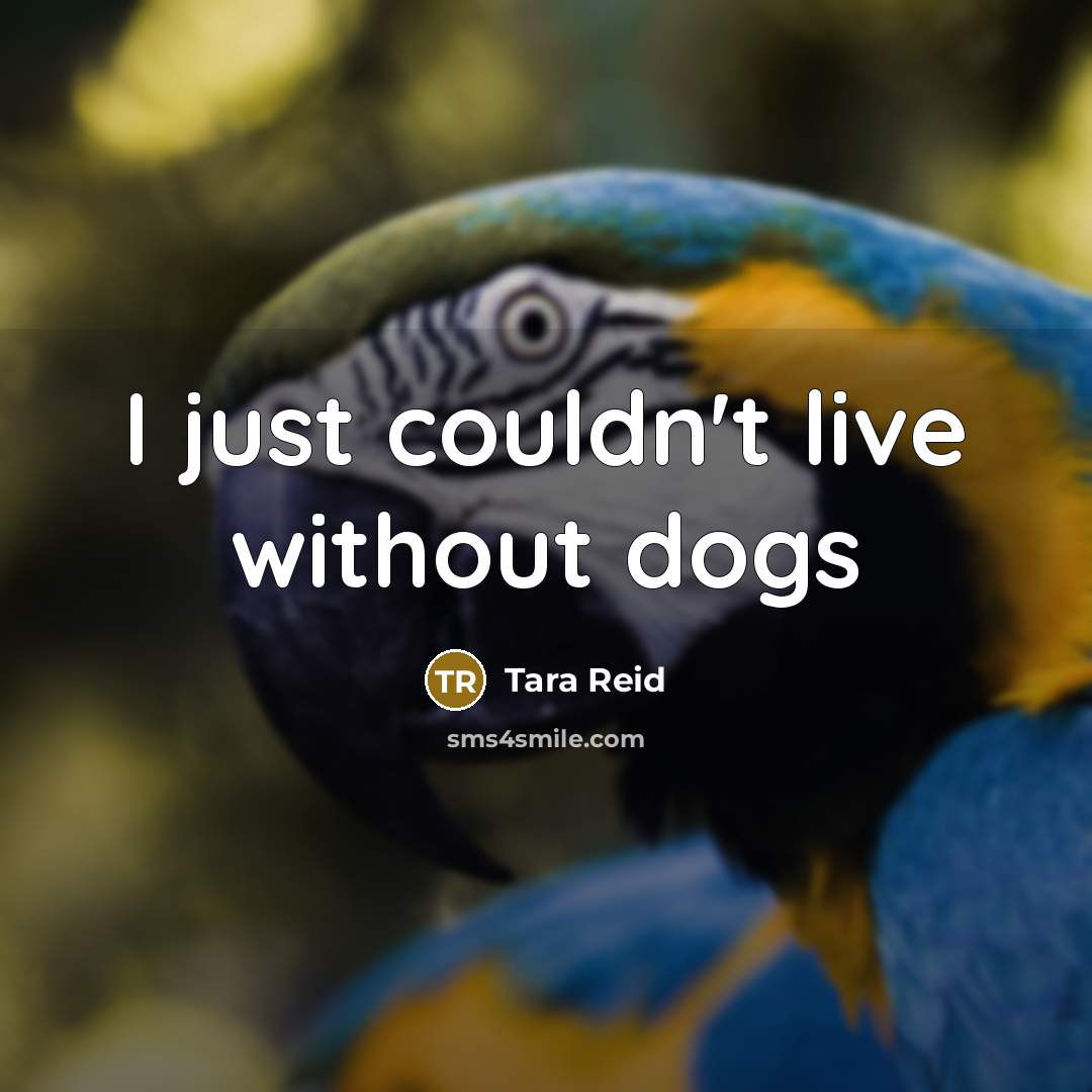“I just couldn't live without dogs” quote by Tara Reid