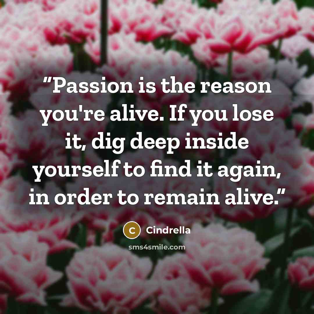 “Passion is the reason you're alive. If you lose it, dig deep inside yourself to find it again, in order to remain alive.” quote by Cindrella