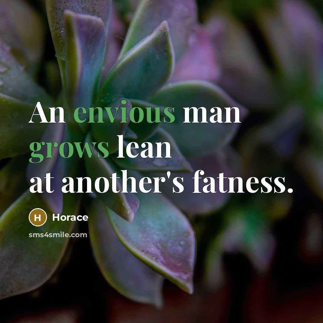 “An envious man grows lean at another's fatness.” quote by Horace