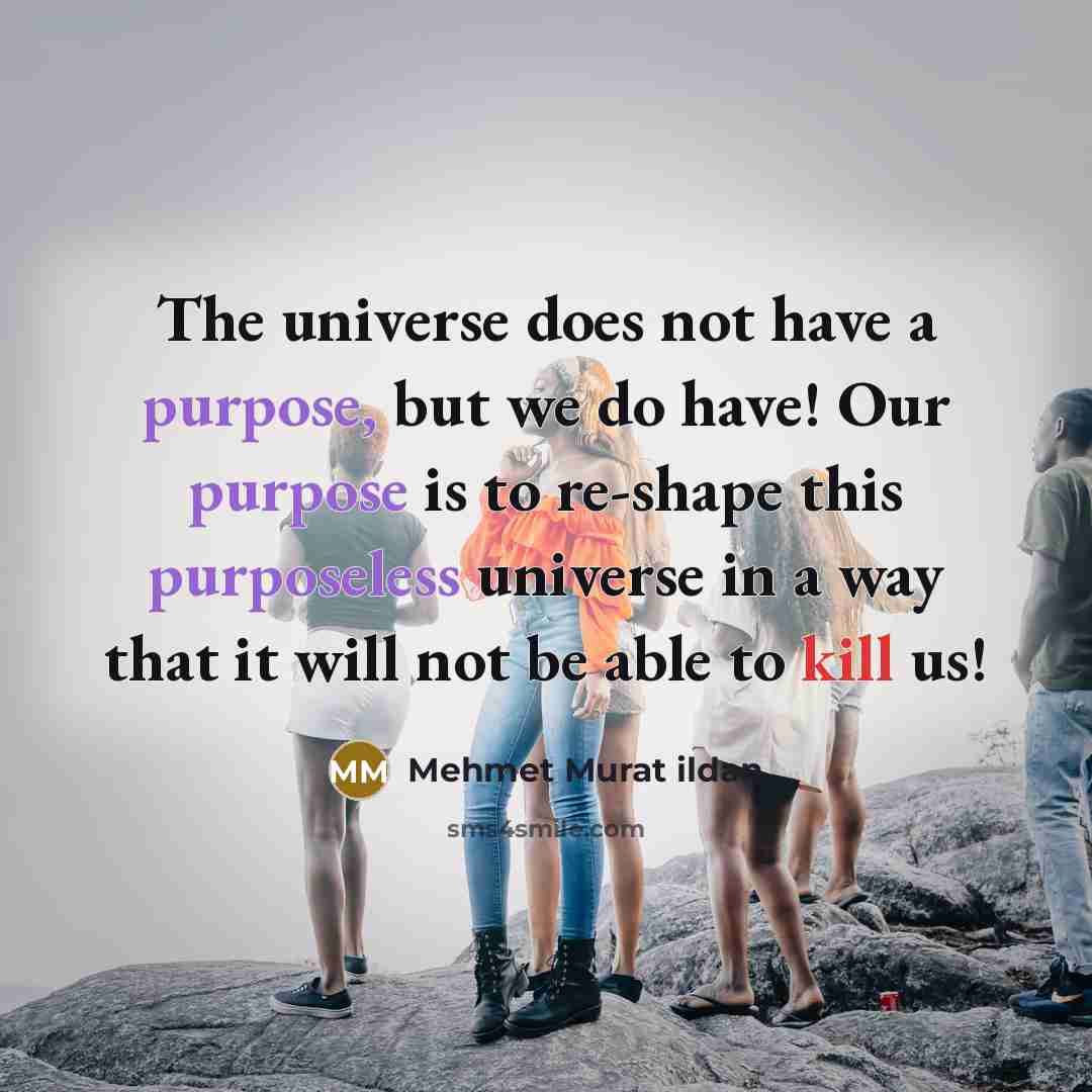 “The universe does not have a purpose, but we do have! Our purpose is to re-shape this purposeless universe in a way that it will not be able to kill us!” quote by Mehmet Murat Ildan