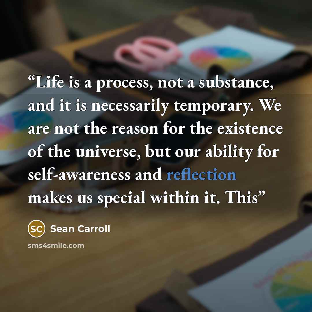 “Life is a process, not a substance, and it is necessarily temporary. We are not the reason for the existence of the universe, but our ability for self-awareness and reflection makes us special within it. This” quote by Sean Carroll