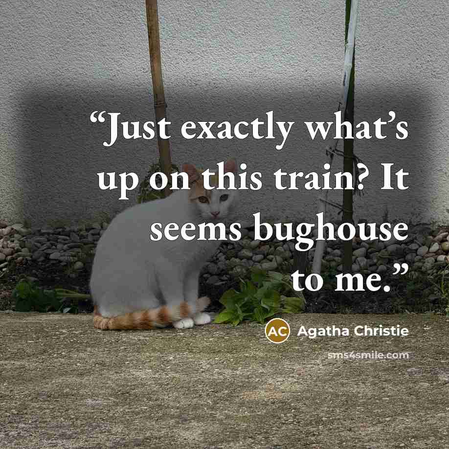 “Just exactly what’s up on this train? It seems bughouse to me.” quote by Agatha Christie