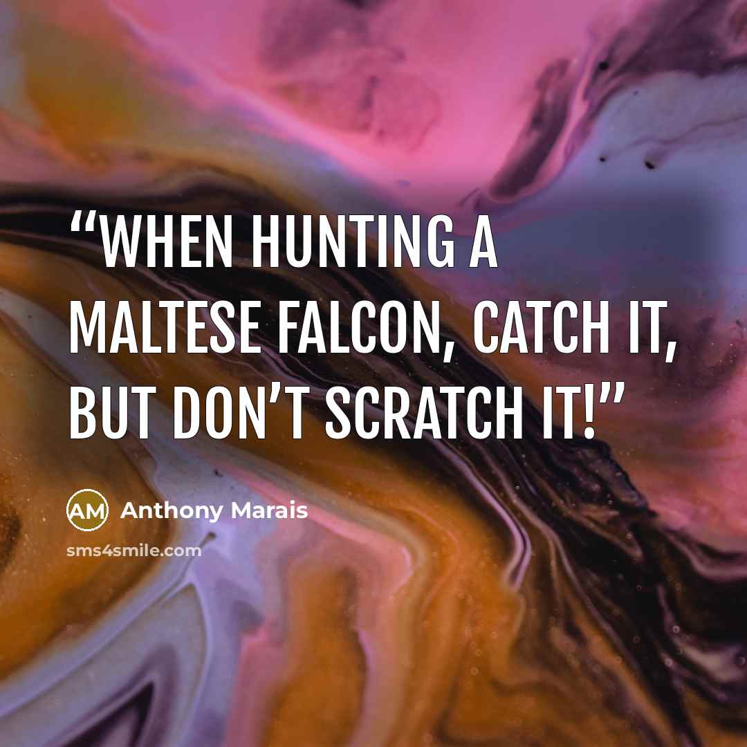 “When hunting a Maltese Falcon, catch it, but don’t scratch it!” quote by Anthony Marais