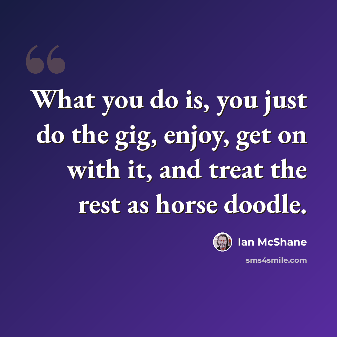 “What you do is, you just do the gig, enjoy, get on with it, and treat the rest as horse doodle.” quote by Ian McShane