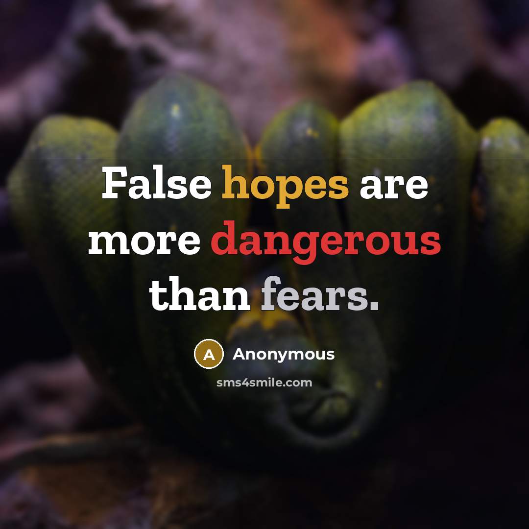 “False hopes are more dangerous than fears.” quote by Anonymous