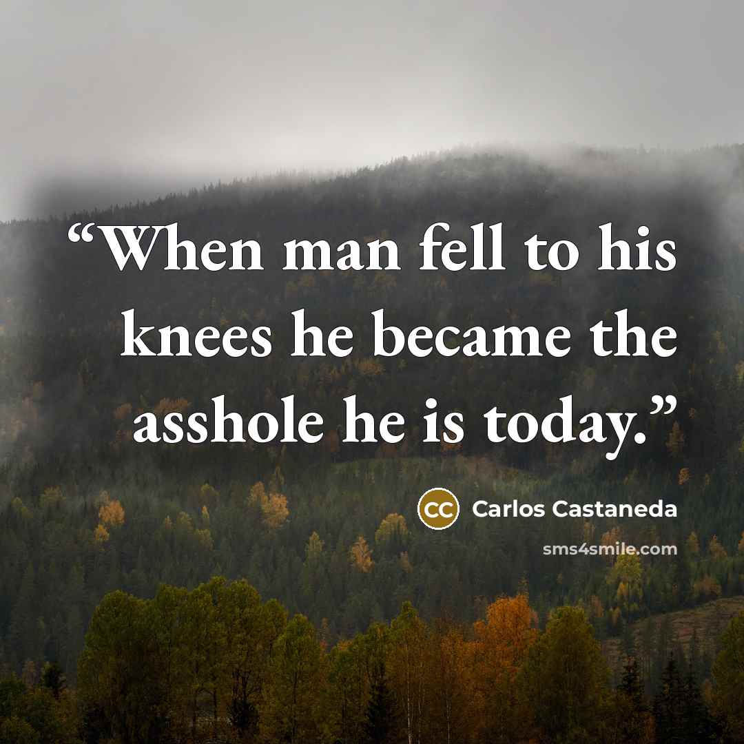 “When man fell to his knees he became the asshole he is today.” quote by Carlos Castañeda