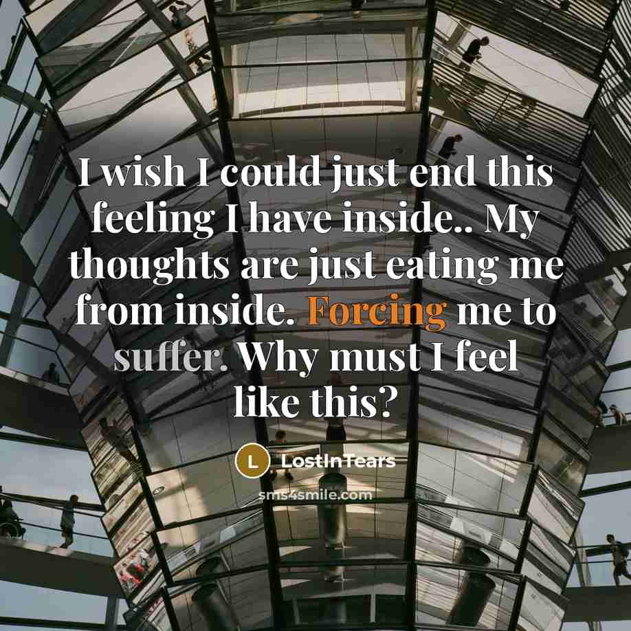“I wish I could just end this feeling I have inside.. My thoughts are just eating me from inside. Forcing me to suffer. Why must I feel like this?” quote by LostInTears