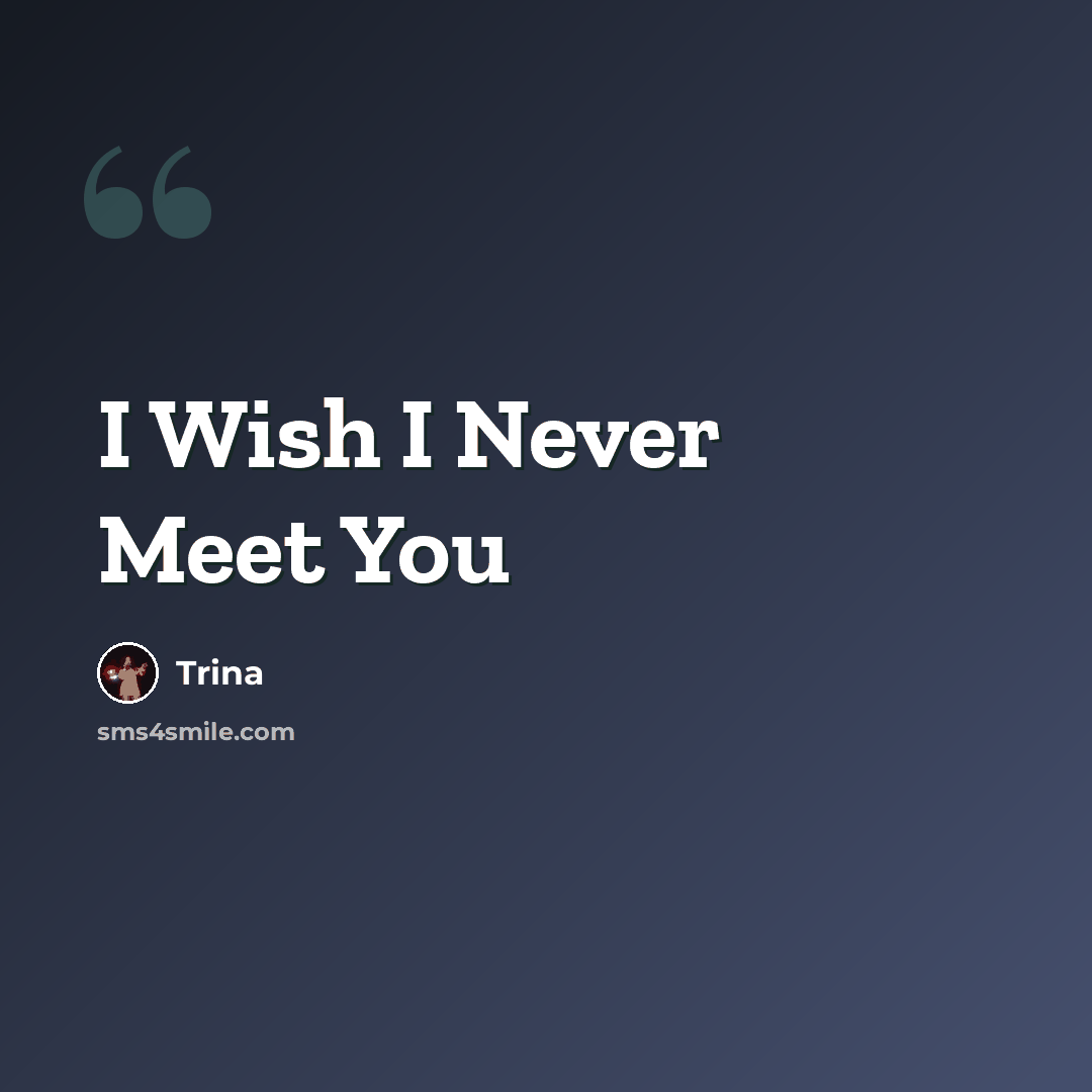 “I Wish I Never Meet You” quote by Trina