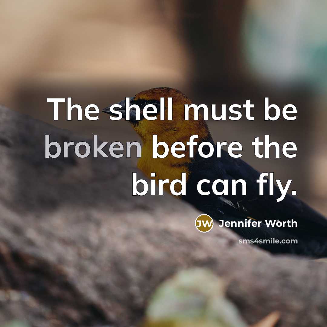 “The shell must be broken before the bird can fly.” quote by Jennifer Worth