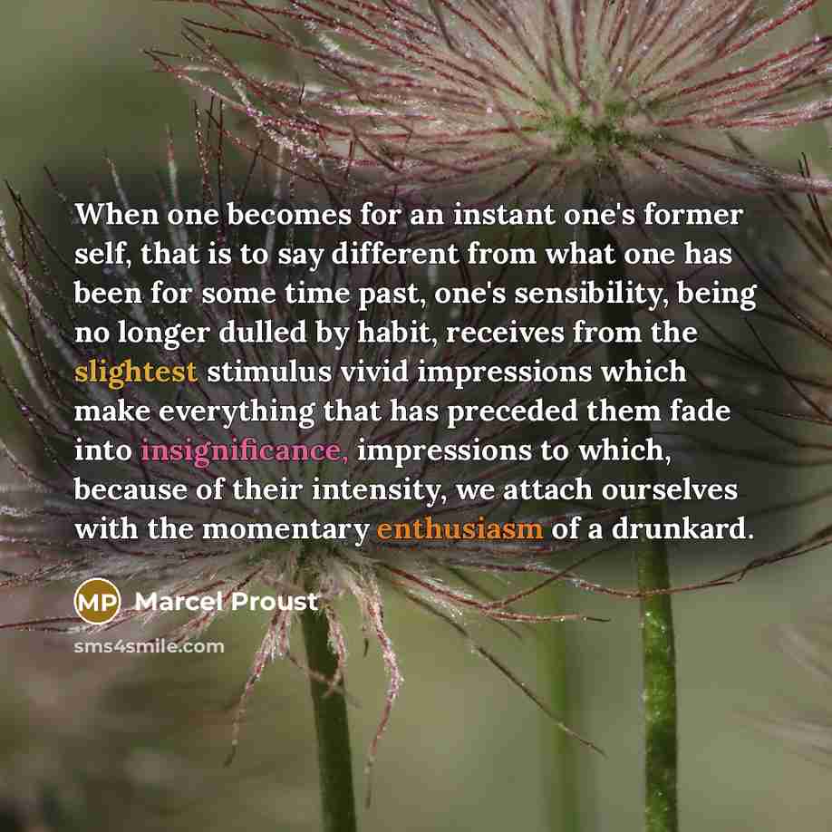 “When one becomes for an instant one's former self, that is to say different from what one has been for some time past, one's sensibility, being no longer dulled by habit, receives from the slightest stimulus vivid impressions which make everything that has preceded them fade into insignificance…” quote by Marcel Proust